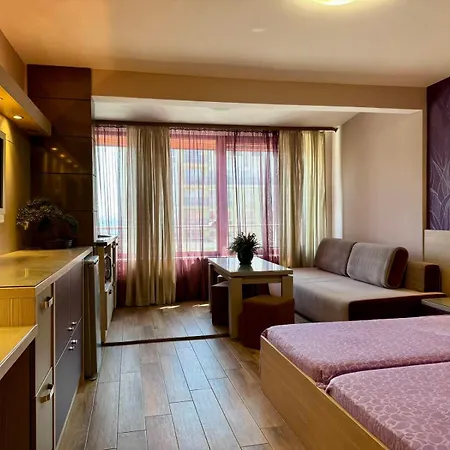 роси 3* 포마리